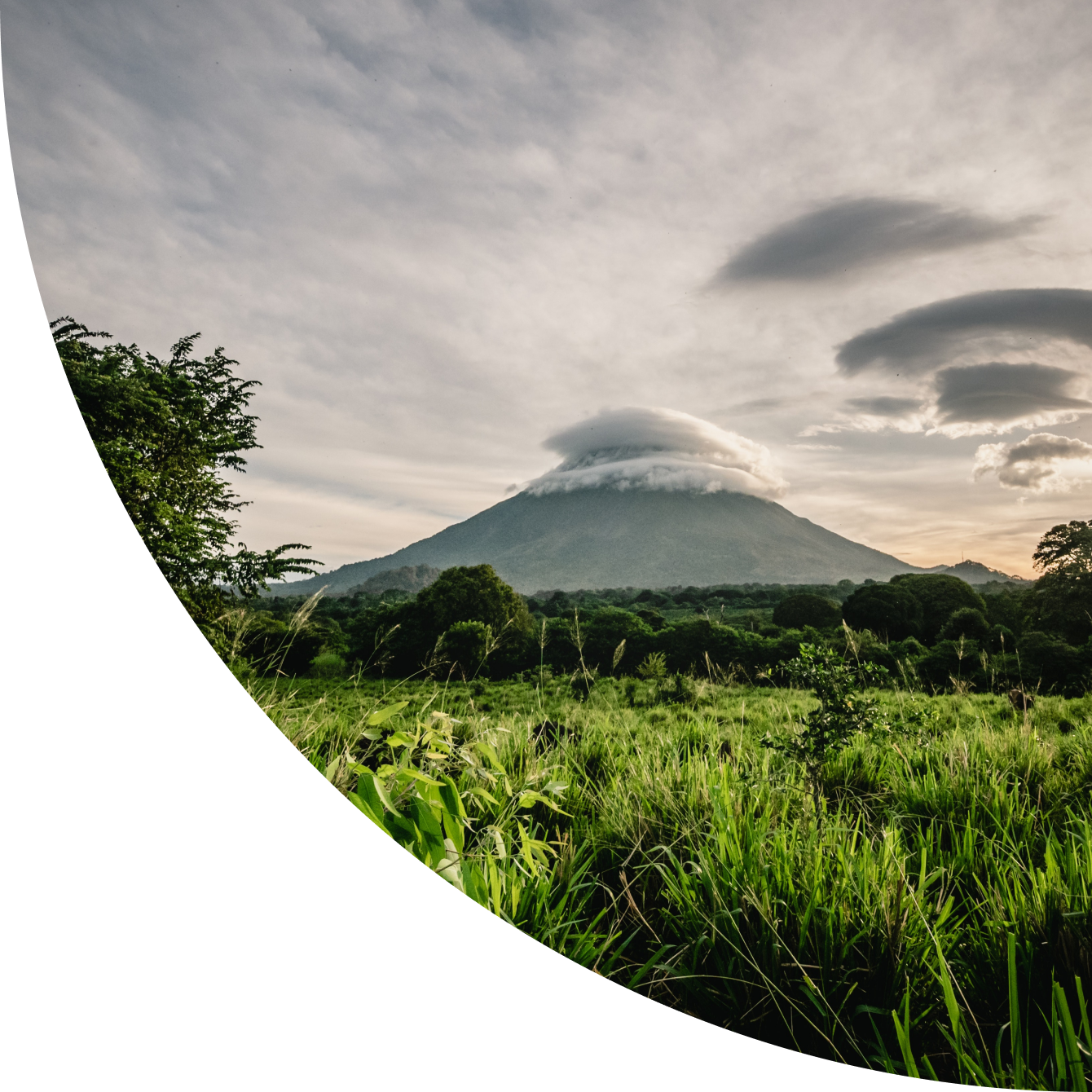 Zota - Payment solutions in Nicaragua