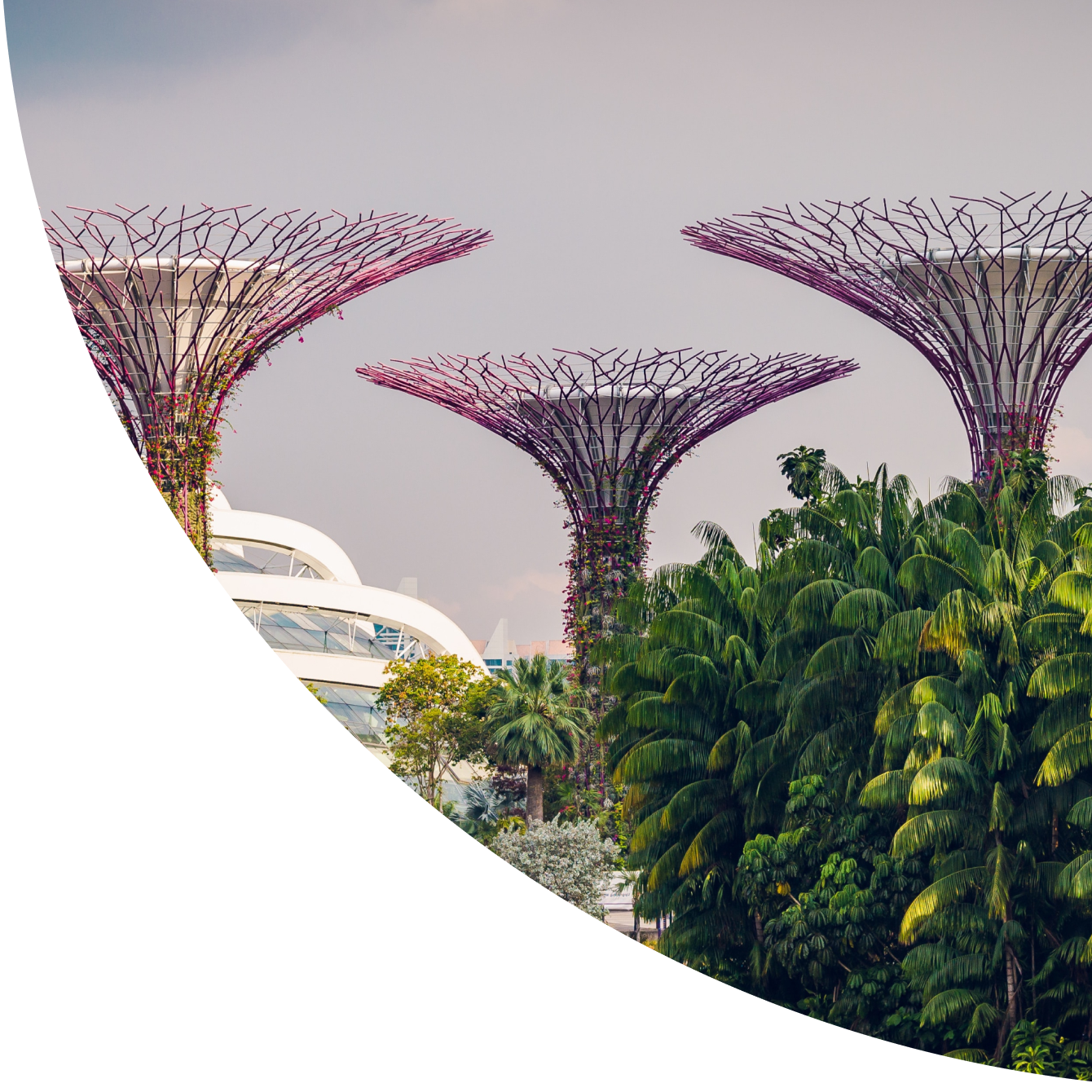 Zota - Payment solutions in Singapore