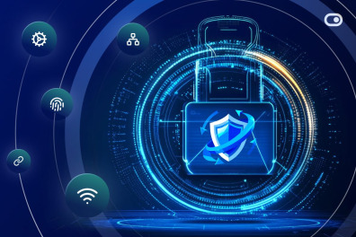 Beyond the basics: Why your global risk management strategy needs a payment partner 3 Beyond the basics: Why your global risk management strategy needs a payment partner